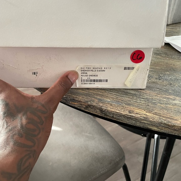 Ballenciaga Arena - Picture 4 of 5